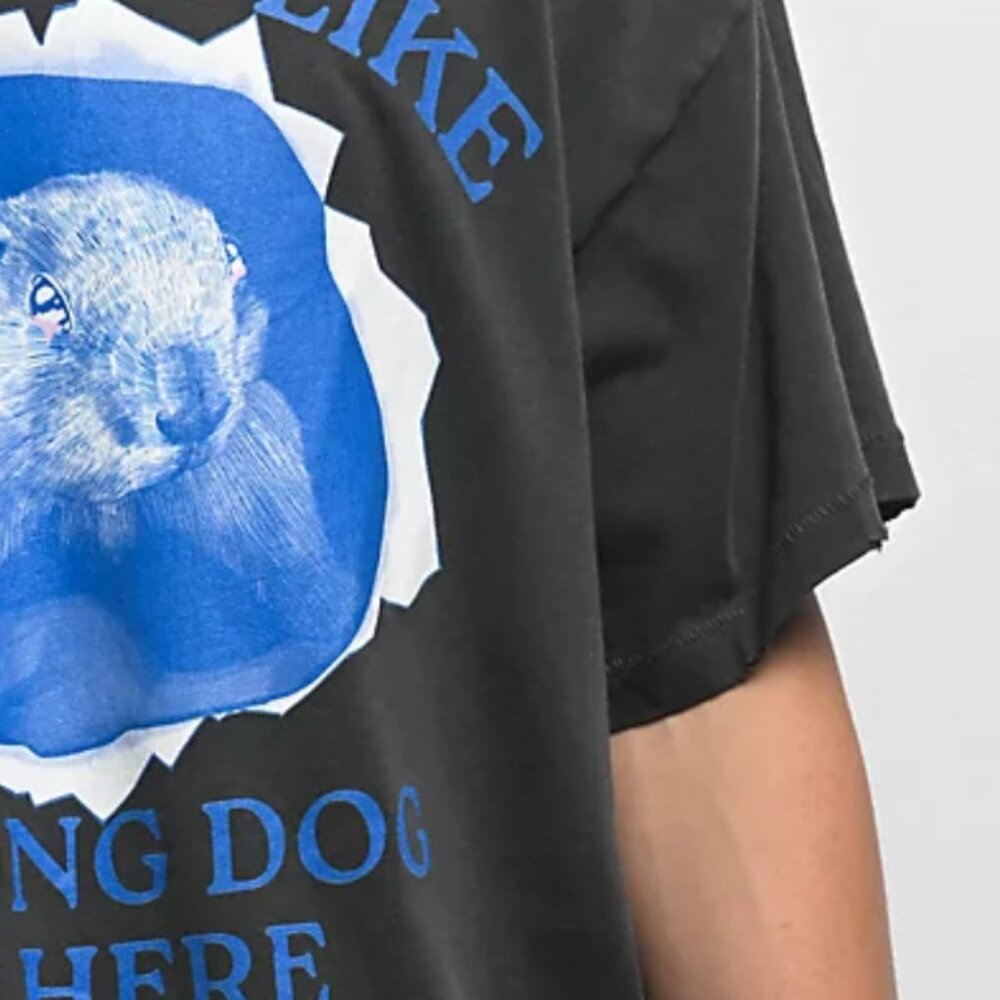 A.LAB Wrong Dog Washed Black T-Shirt - Picture 5 of 6